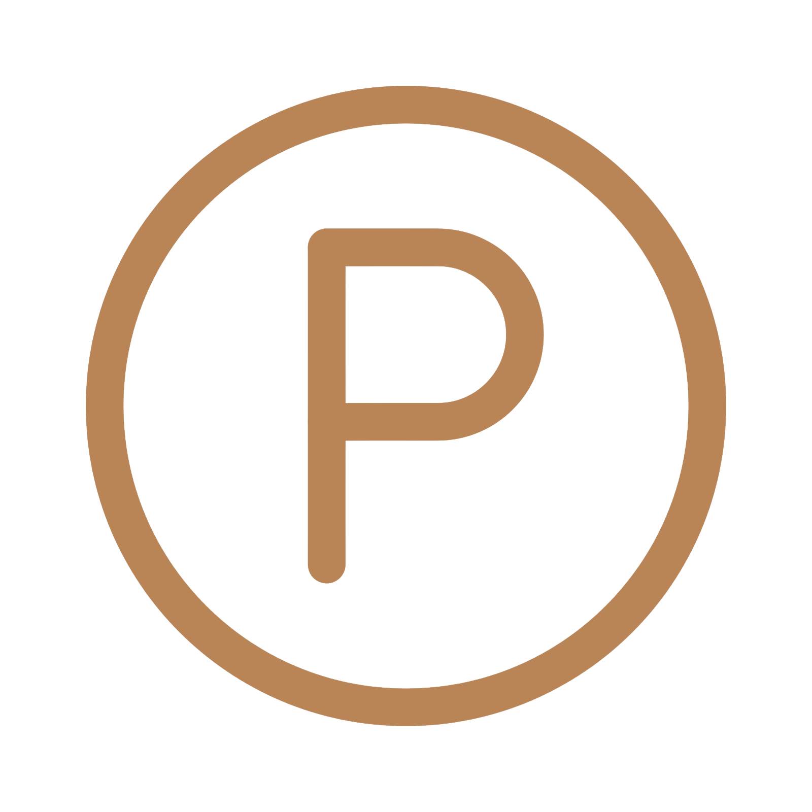 Valet Parking